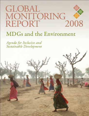 Global Monitoring Report 2008